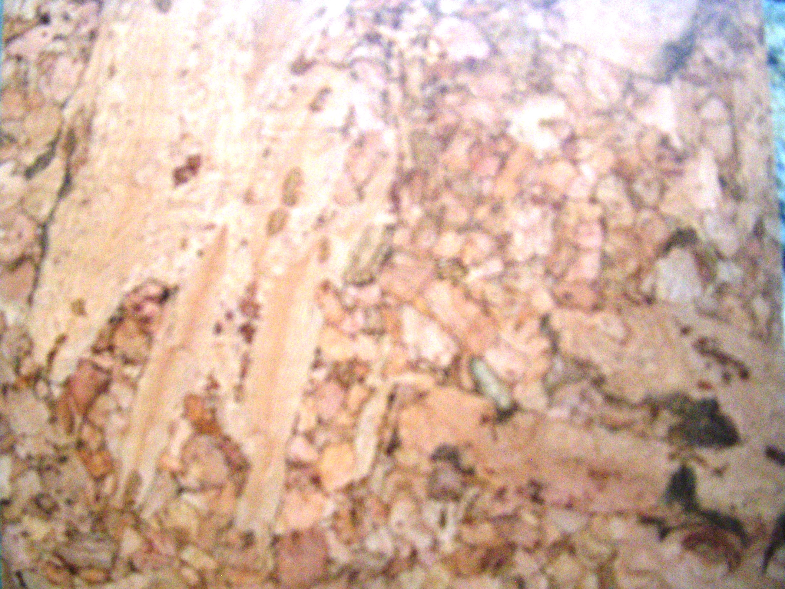 hardwood floors in kitchens