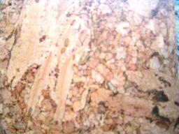 hardwood floors in kitchens