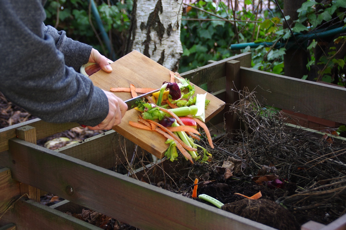 Composting at Home: Getting Started and What to Use it For - Pt 2