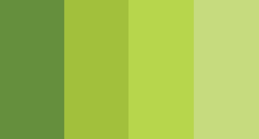 Best Green Paint Colors for Cabinets
