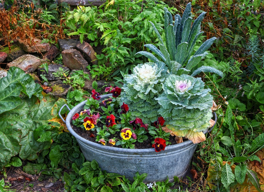 Container Ideas for Garden Planting