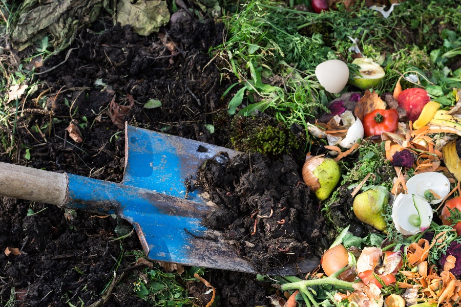 Composting at Home: Getting Started and What to Use it For - Pt 1