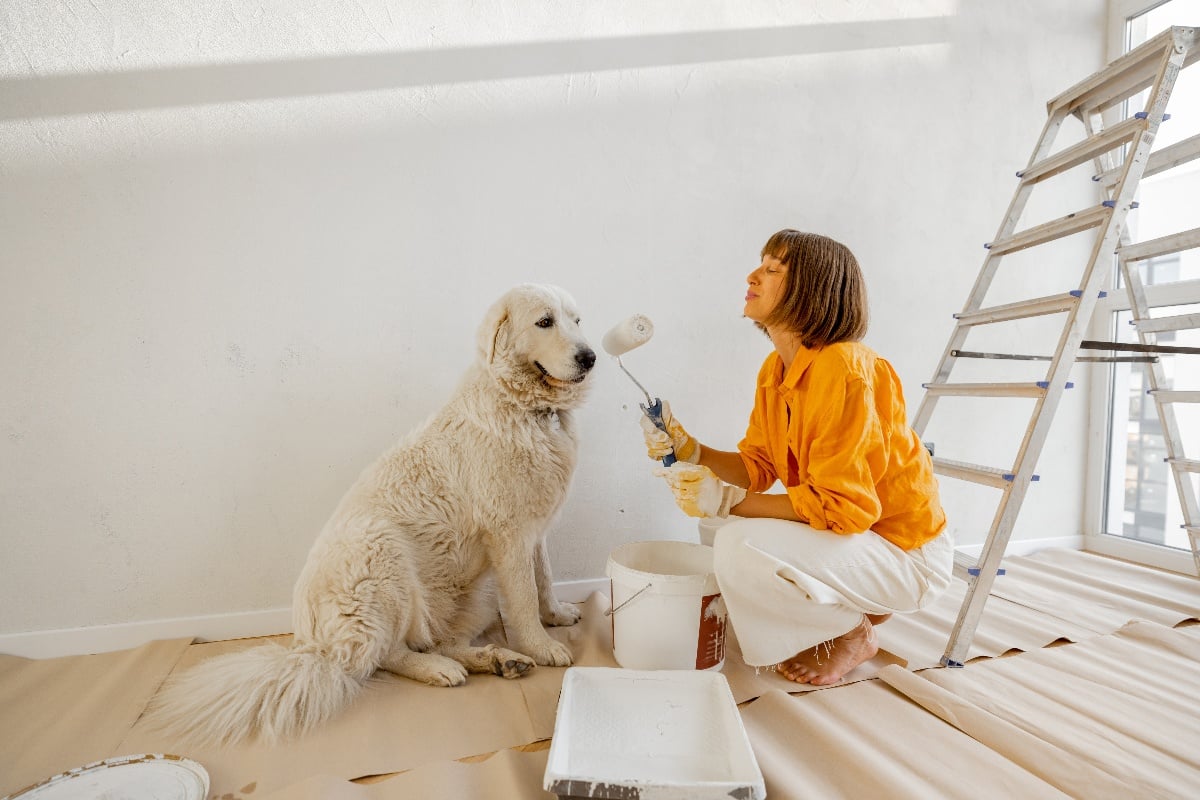 Care for your Pets During a Remodel